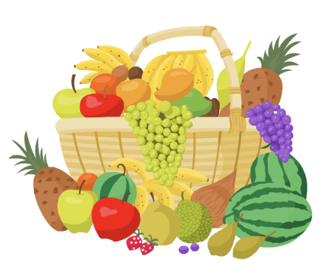 nos-fruits-vector